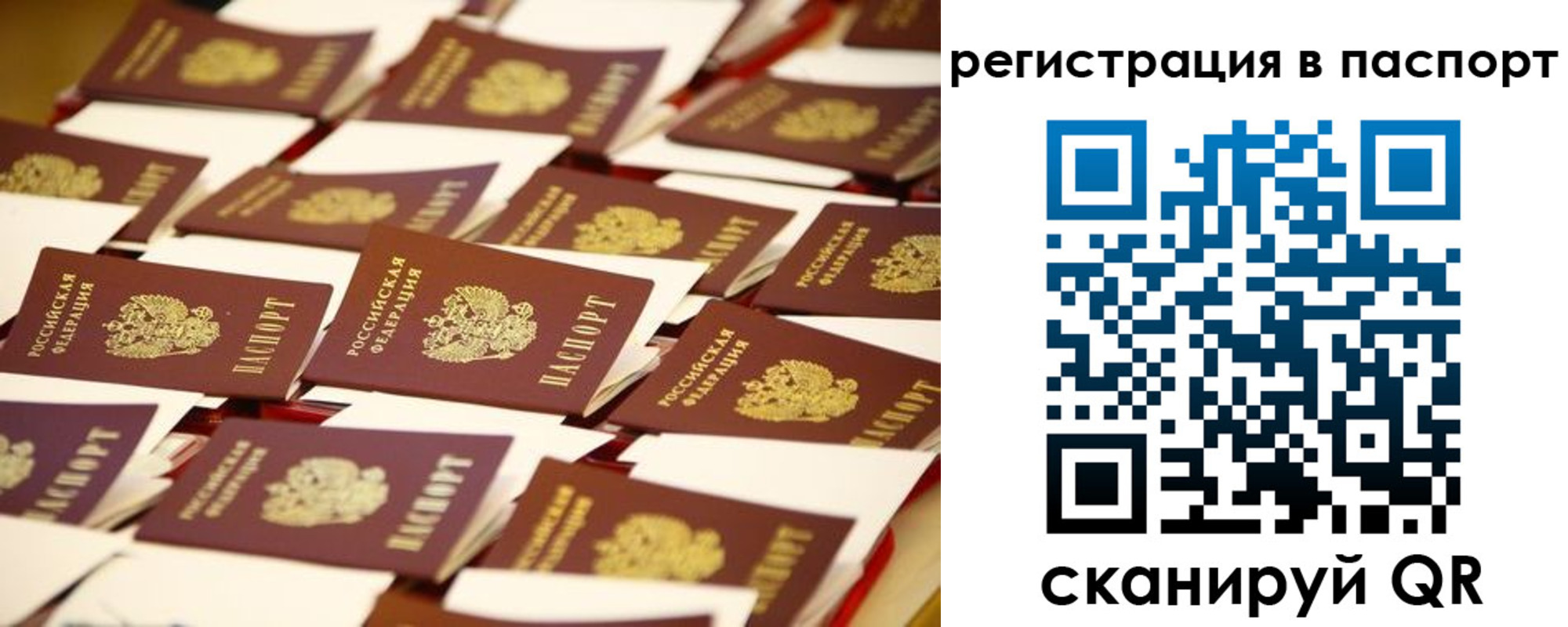 прописка гарантия в Сегеже